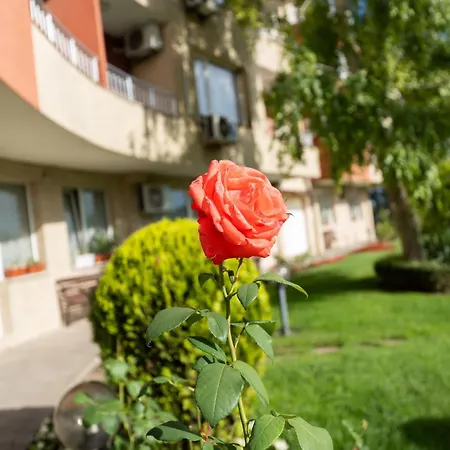 Zelenika With Free Parking * Varna